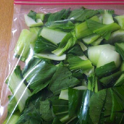 チンゲン菜も、生のままで冷凍保存できるって助かります(^^)